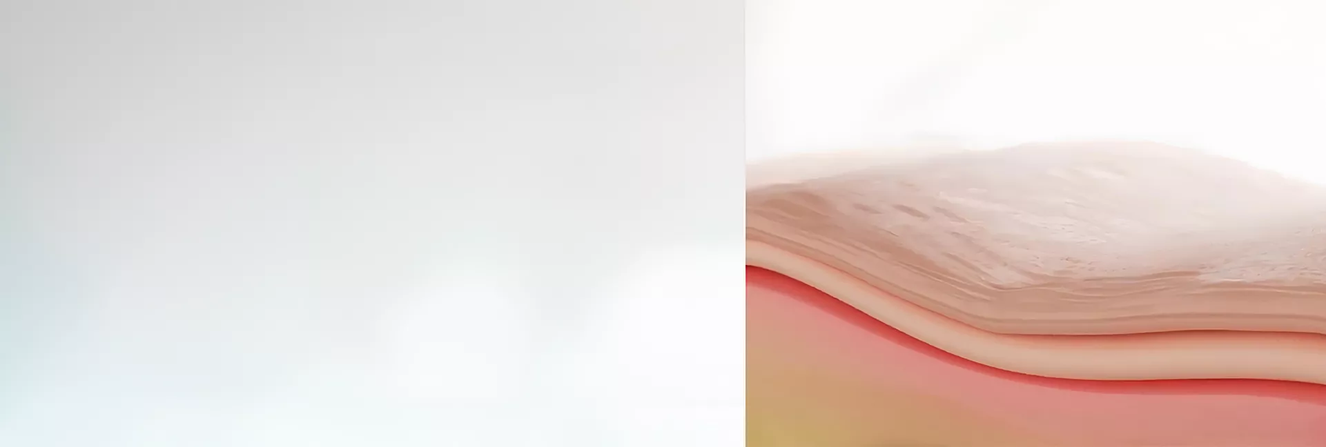 Banner Görseli