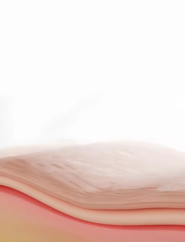 Banner Görseli